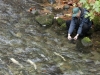 Filming the salmon underwater, in HD