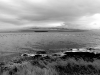 Windy Shore, Black and White photo © Andrée Fredette, 2014