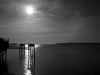 Sidney morning, black and white photo © Andrée Fredette