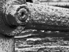 Wet and Rusty, Black and White Photo - © Andrée Fredette, 2014