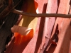 arbutus-bark-shadowplay