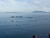 Orcas (killer whales) swim by East Point, Saturna island, BC