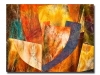 Tunicates 1  78 x 57" -- Original Cotton quilt, machine-pieced and quilted by Andrée Fredette