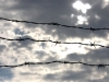 Barbed Wire, Sidney, BC