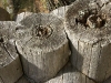 Log Building, Detail